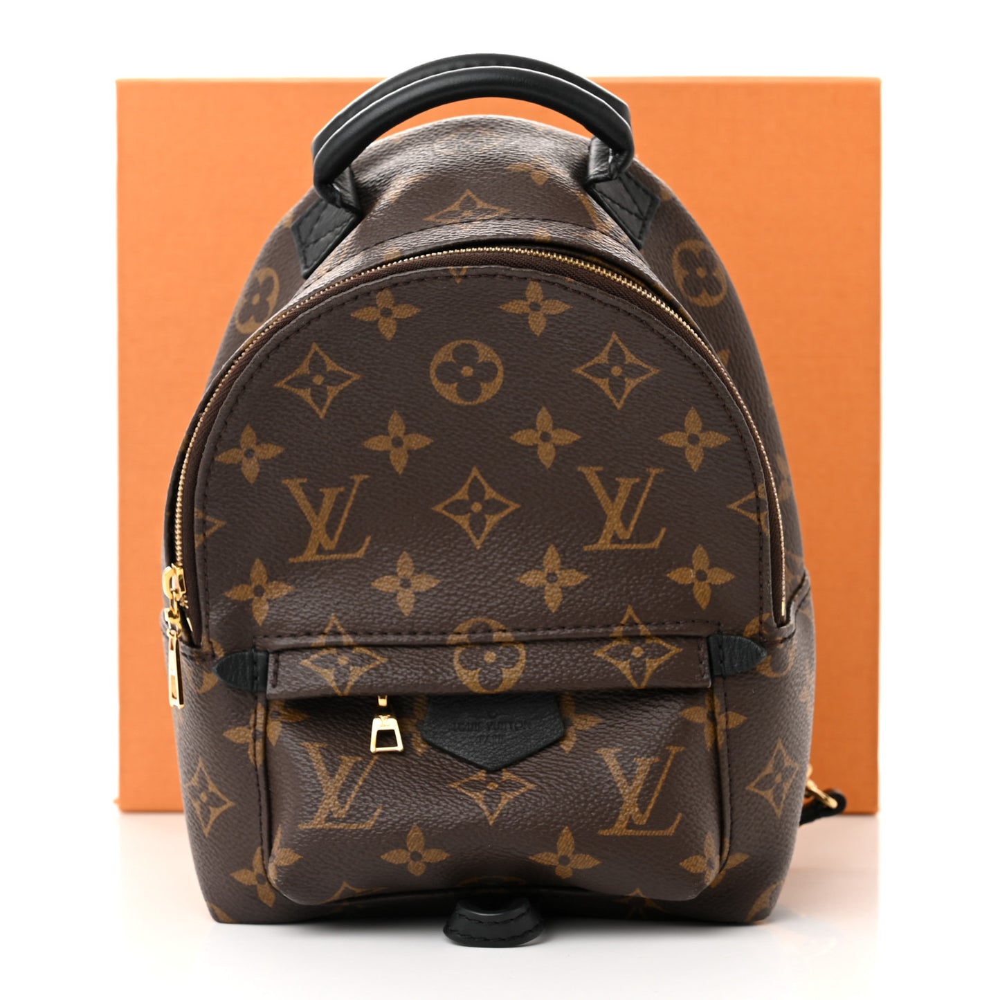 Monogram Palm Springs Backpack Mini