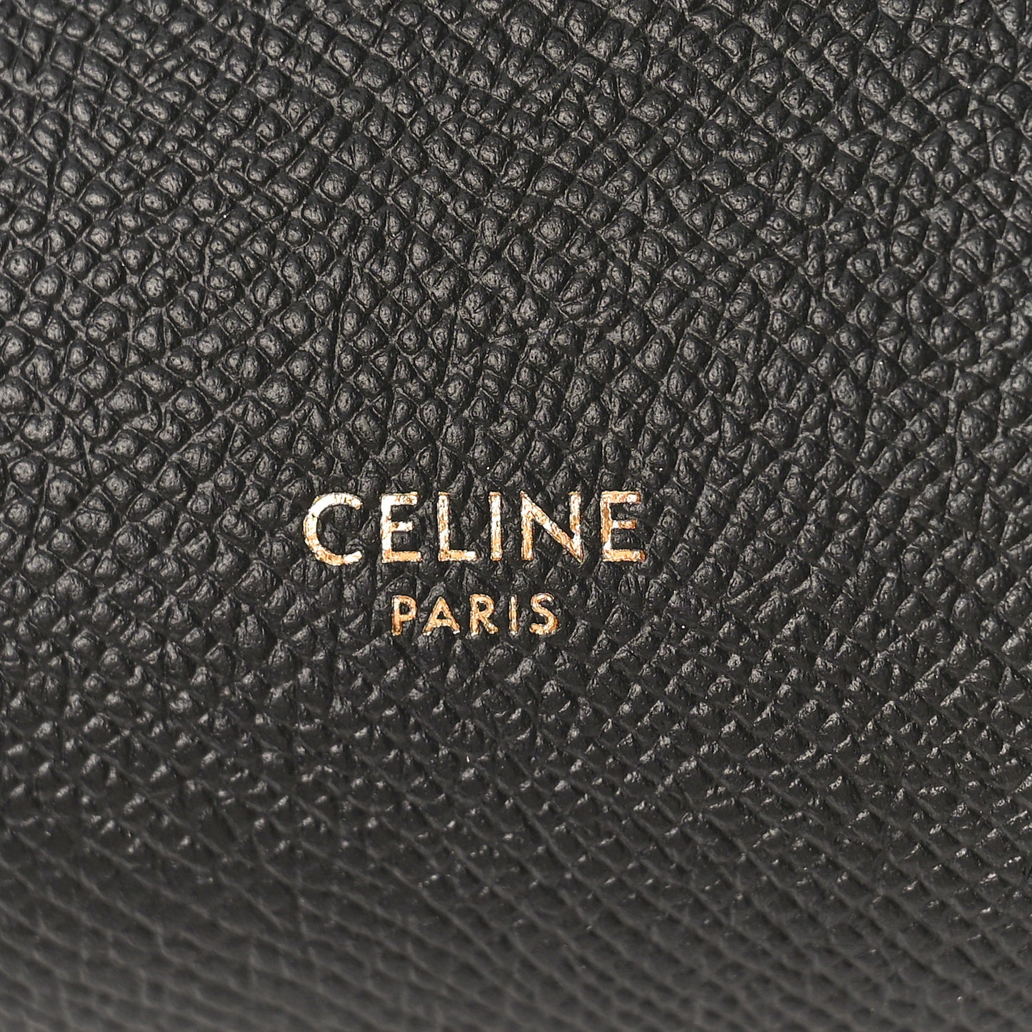 Grained Calfskin Pico Belt Bag Black