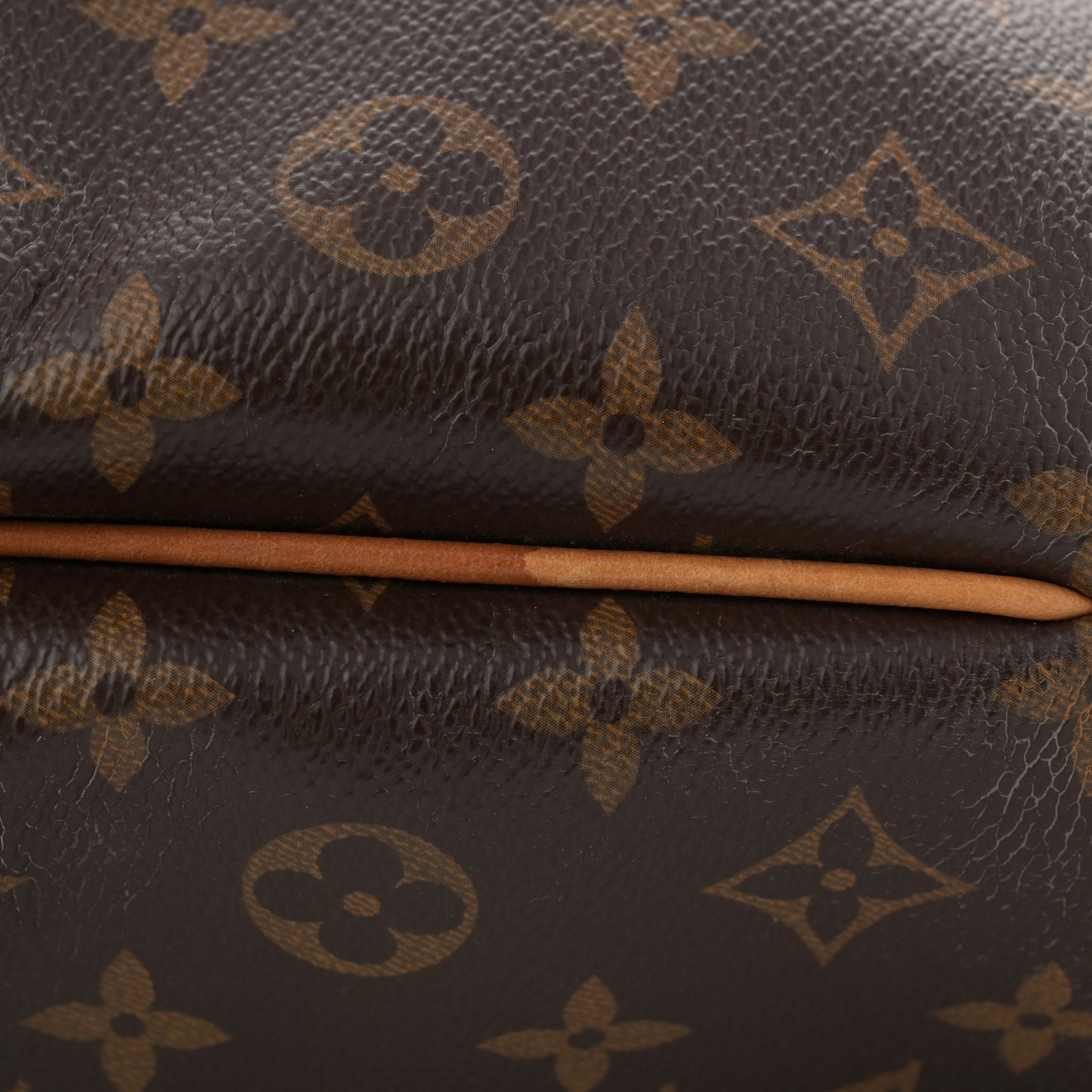 Monogram Delightful PM