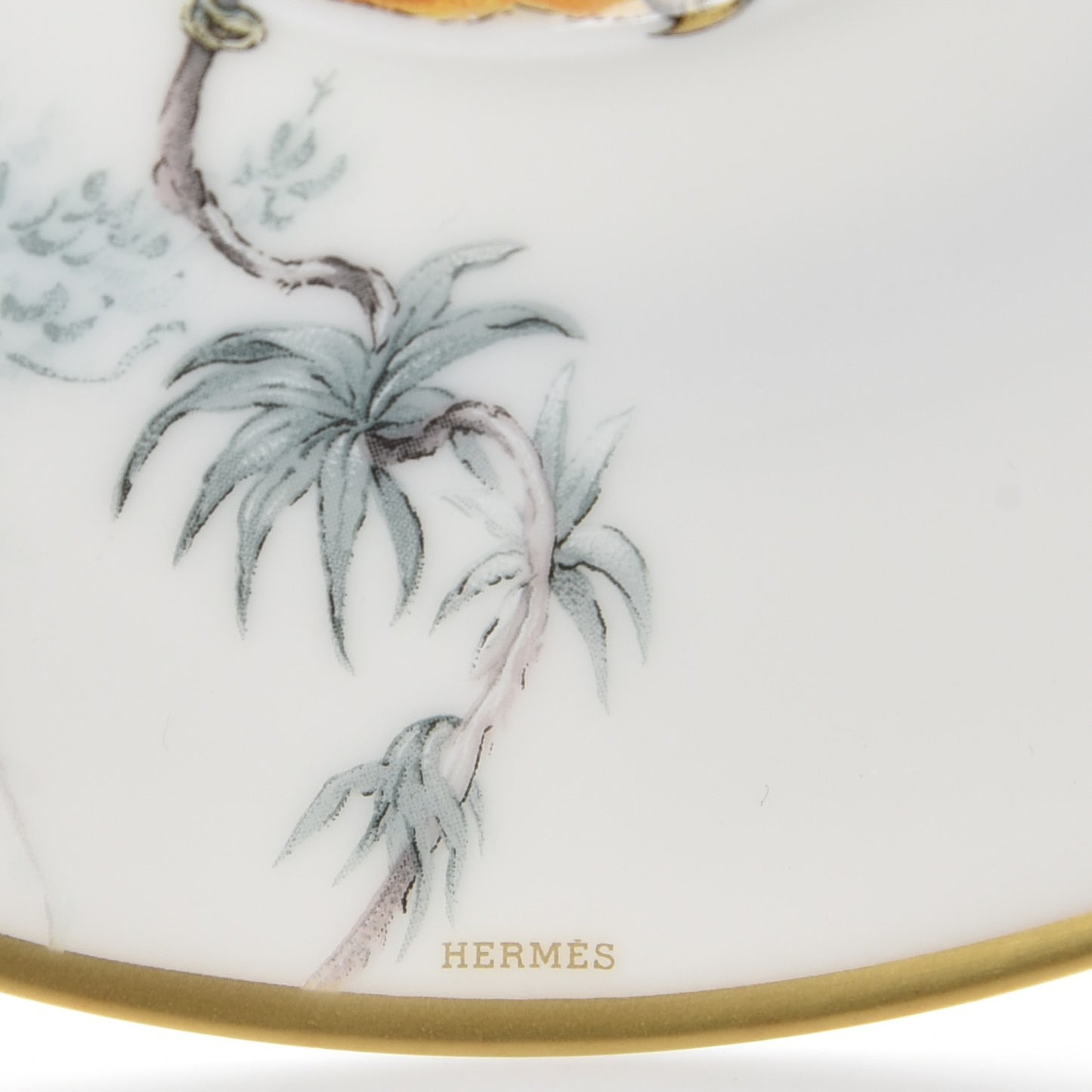 Porcelain Carnets d'Equateur Tea Cup and Saucer
