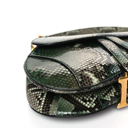 Christian Dior Snakeskin Saddle Bag Green 8 of 8
