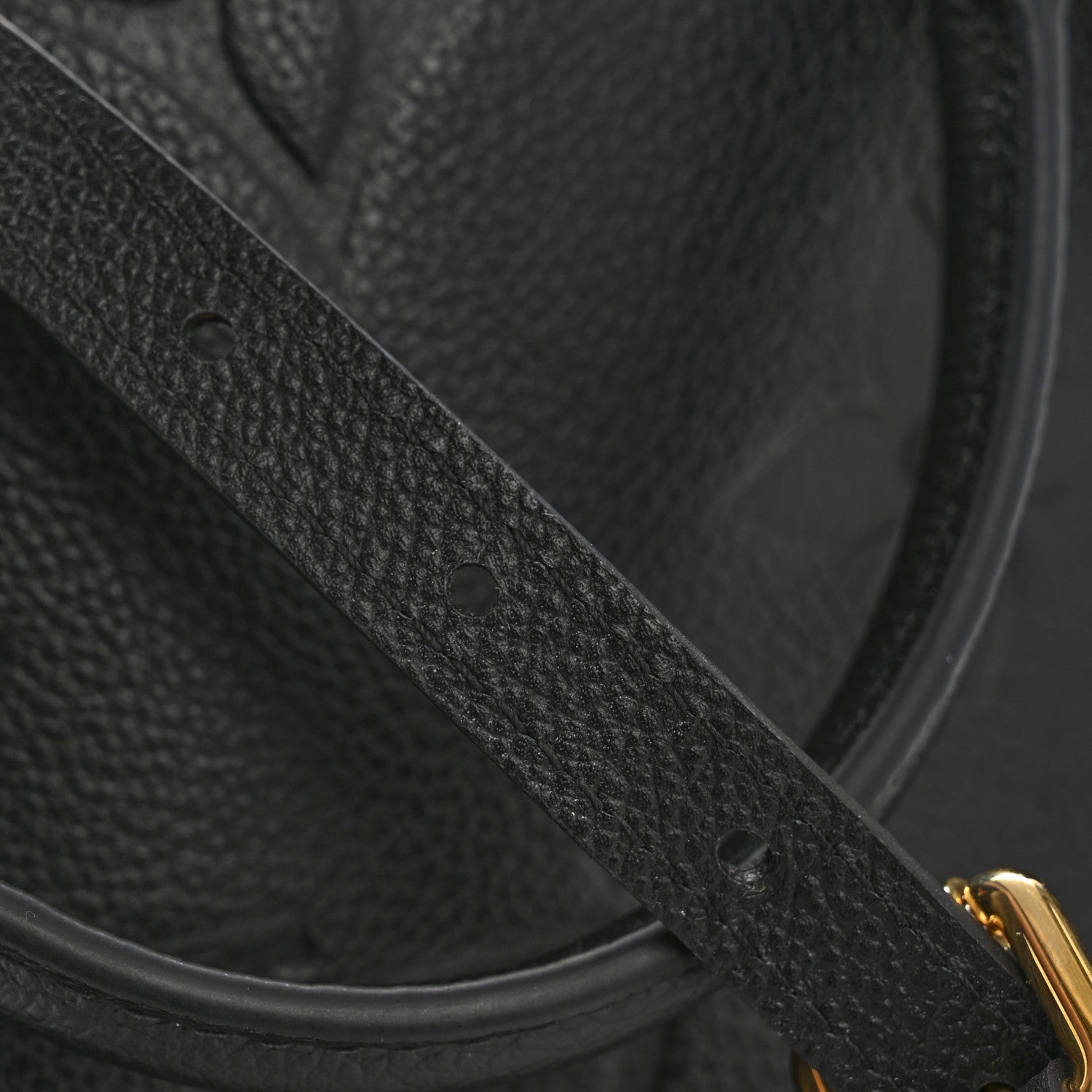 Louis Vuitton Empreinte Monogram Giant Petit Palais Black 12 of 12