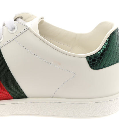 Gucci Calfskin Ayers Bee Embroidered Womens Ace Sneakers 36.5 White Green 10 of 12