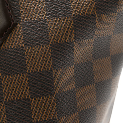 Louis Vuitton Damier Ebene Saleya PM 12 of 13