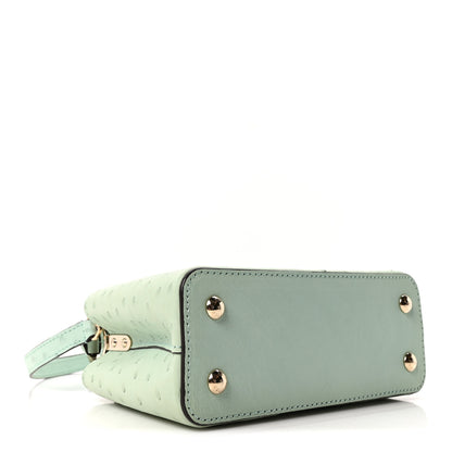 Louis Vuitton Ostrich Capucines Mini Vert Celadon 4 of 10