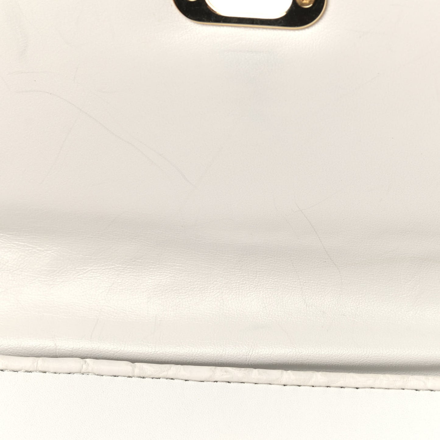 Calfskin Pony Hair Les Extraordinaires Tupelo PM White