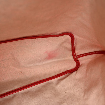 Goyard Goyardine Saint Louis PM Red 12 of 14