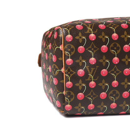 Louis Vuitton Monogram Cerises Speedy 25 7 of 9