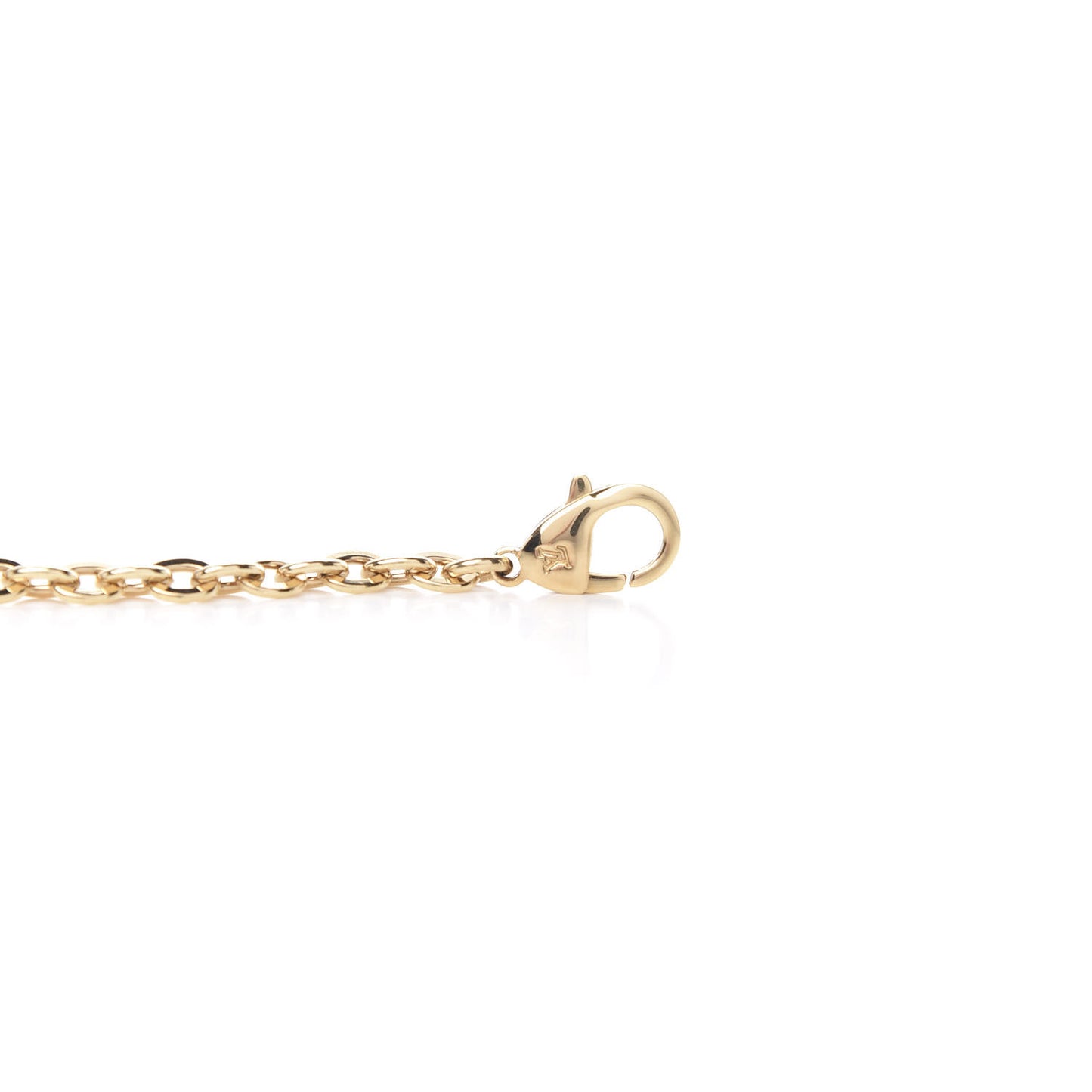 Felicie Chain Long Shoulder Strap