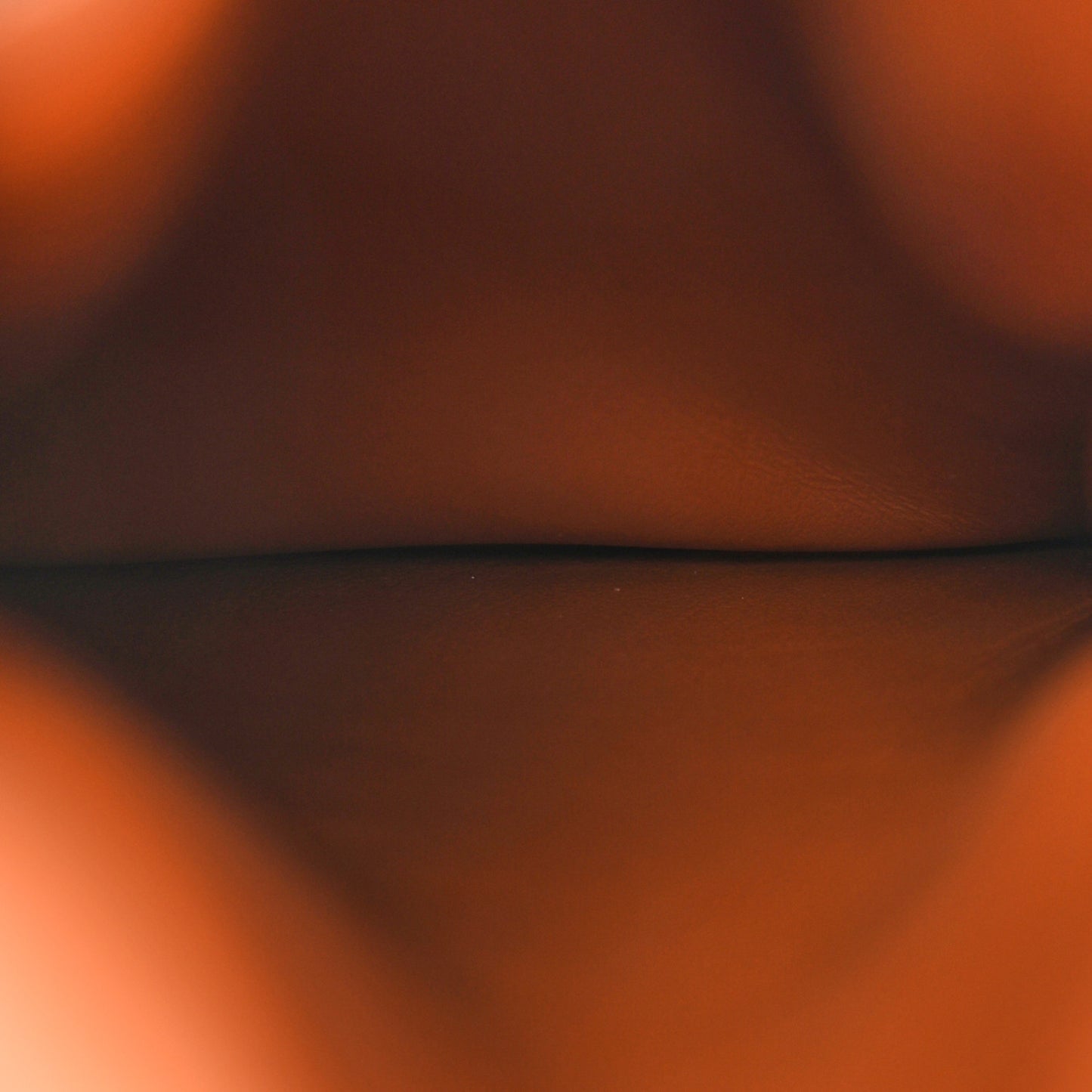 Triomphe Canvas Phone Pouch