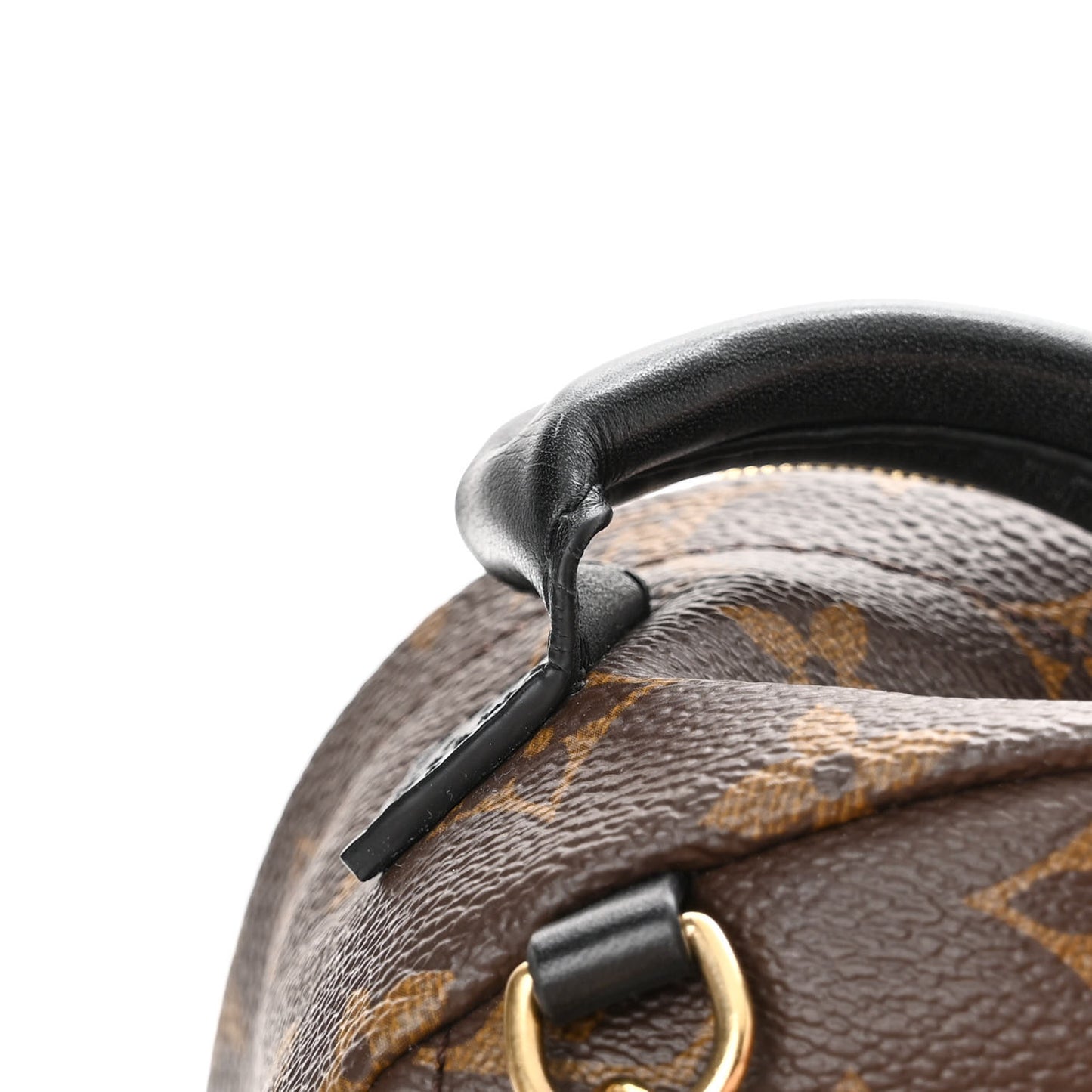 Monogram Palm Springs Backpack Mini