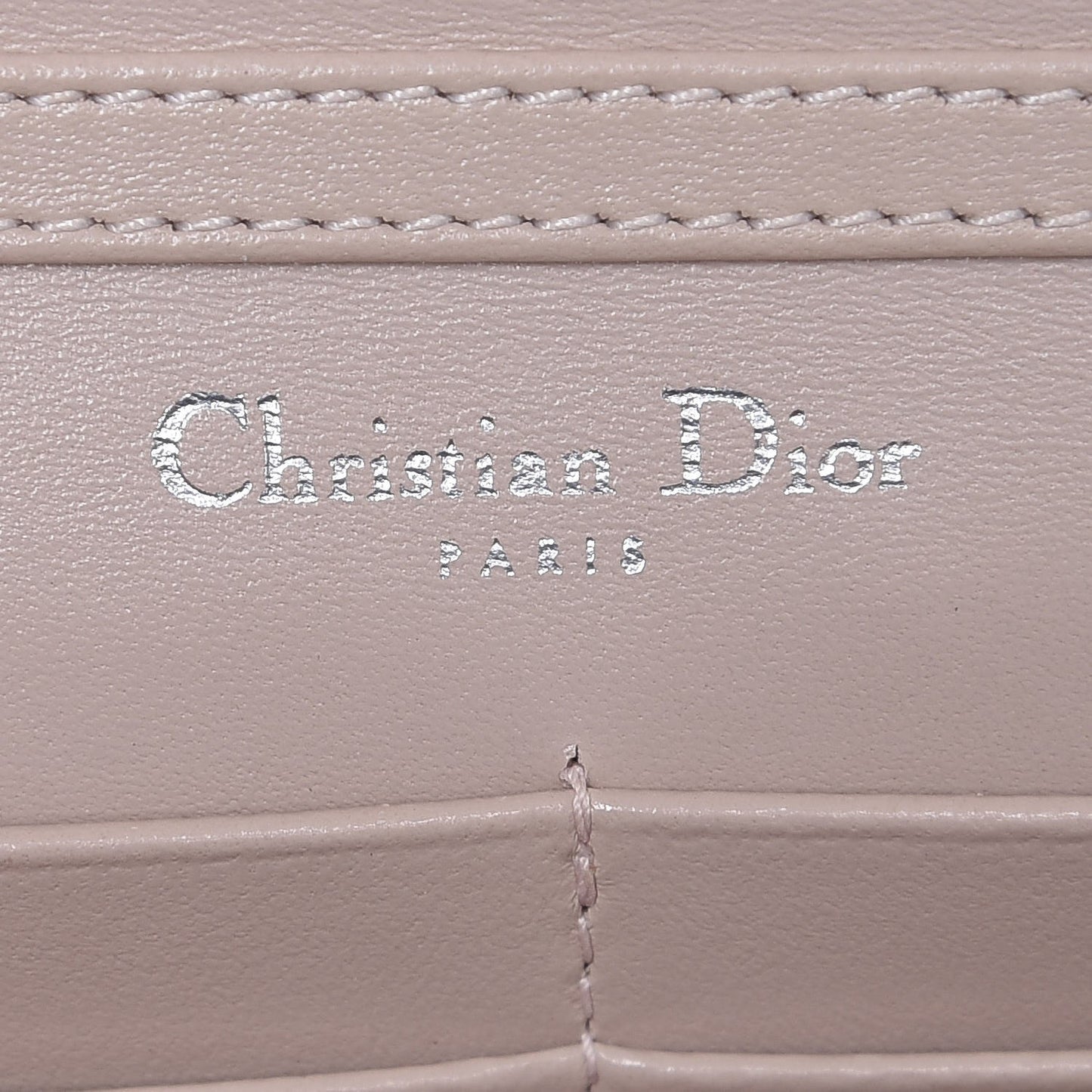 Grained Calfskin Diorama Wallet on Chain Pouch Rose Poudre