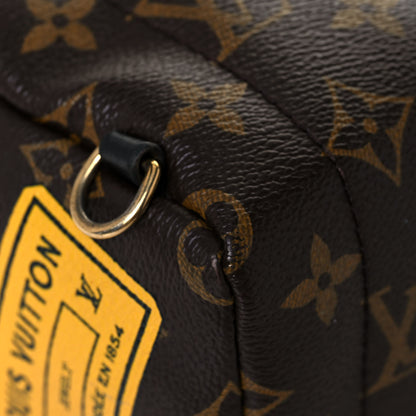 Louis Vuitton Monogram My World Tour Palm Springs Backpack Mini 11 of 15