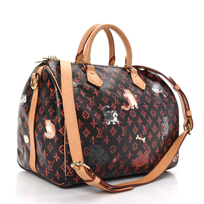 Louis Vuitton Catogram Speedy Bandouliere 30 Marron 3 of 11