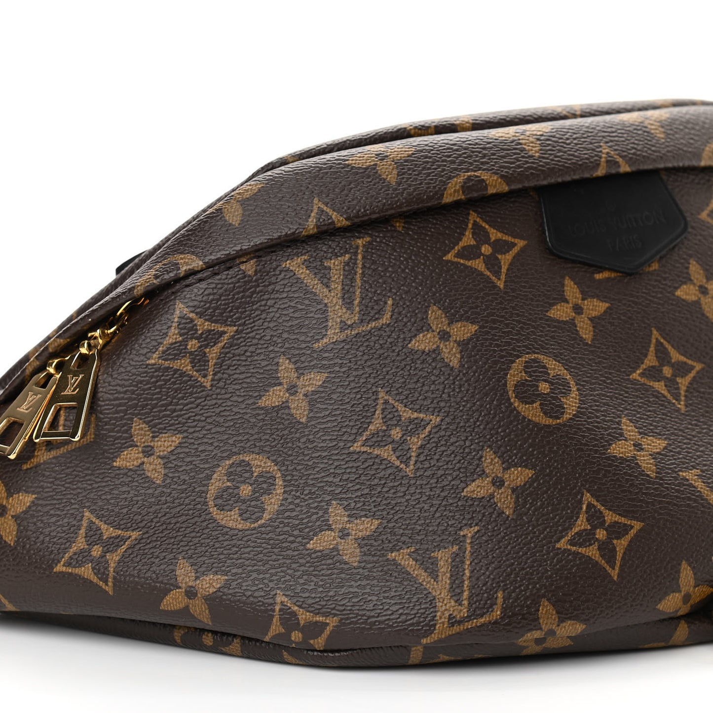 Monogram My LV World Tour Bumbag