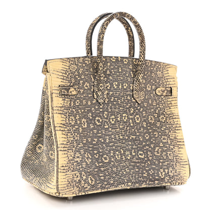 Hermes Lizard Birkin 25 Ombre 3 of 11