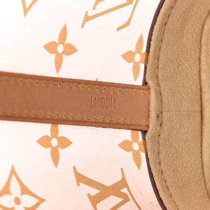 Louis Vuitton Vinyl Cabas Ambre PM 8 of 20
