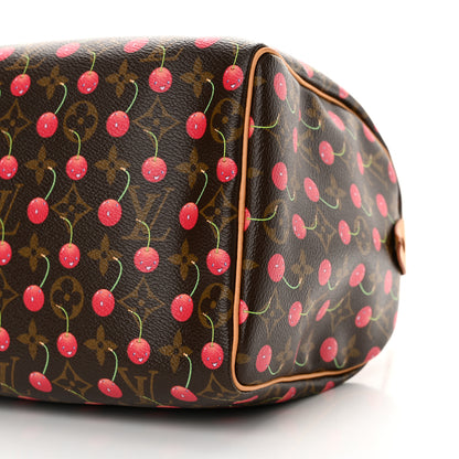Louis Vuitton Monogram Cerises Speedy 25 10 of 10