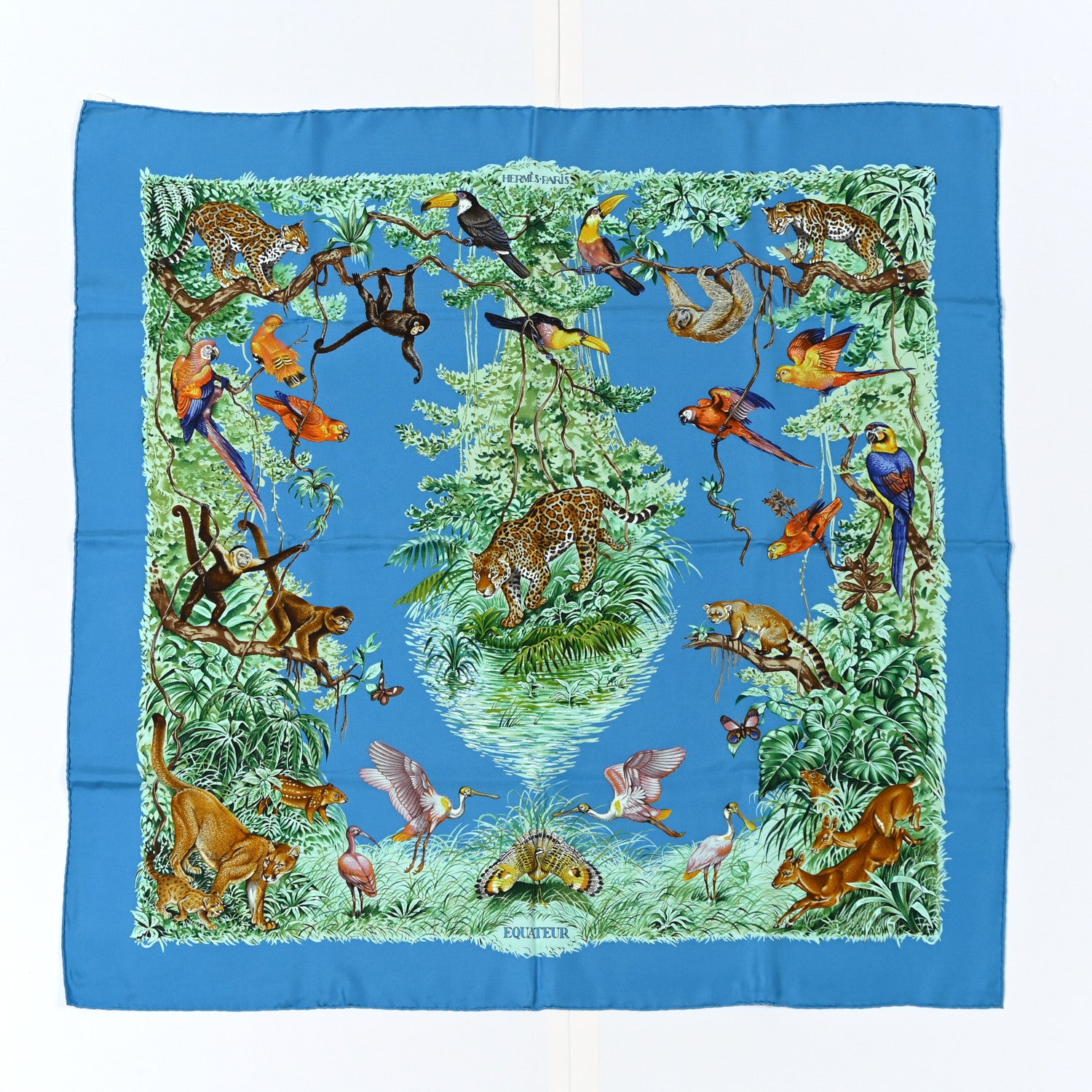 Hermes Silk Equateur Scarf 90 Black Vert 1 of 11