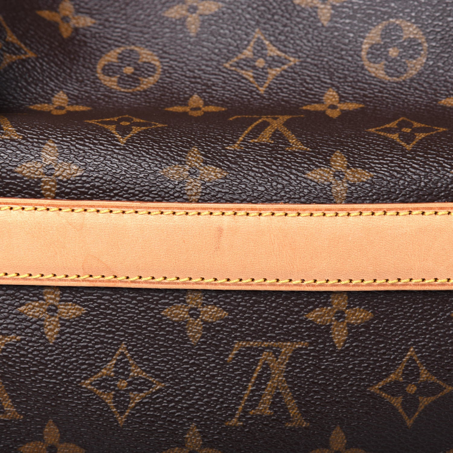 Louis Vuitton Monogram Sac Chien 40 Pet Carrier 14 of 17
