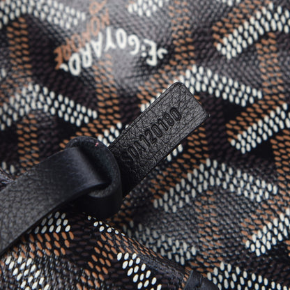 Goyard Goyardine Saint Louis PM Black 10 of 10