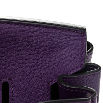 Hermes Togo BIRKIN 30 Crocus 13 of 21