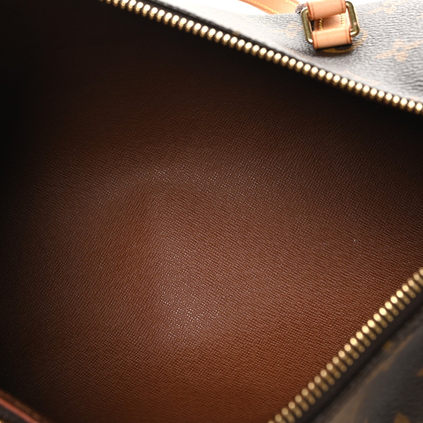 Monogram Papillon 30 with Companion