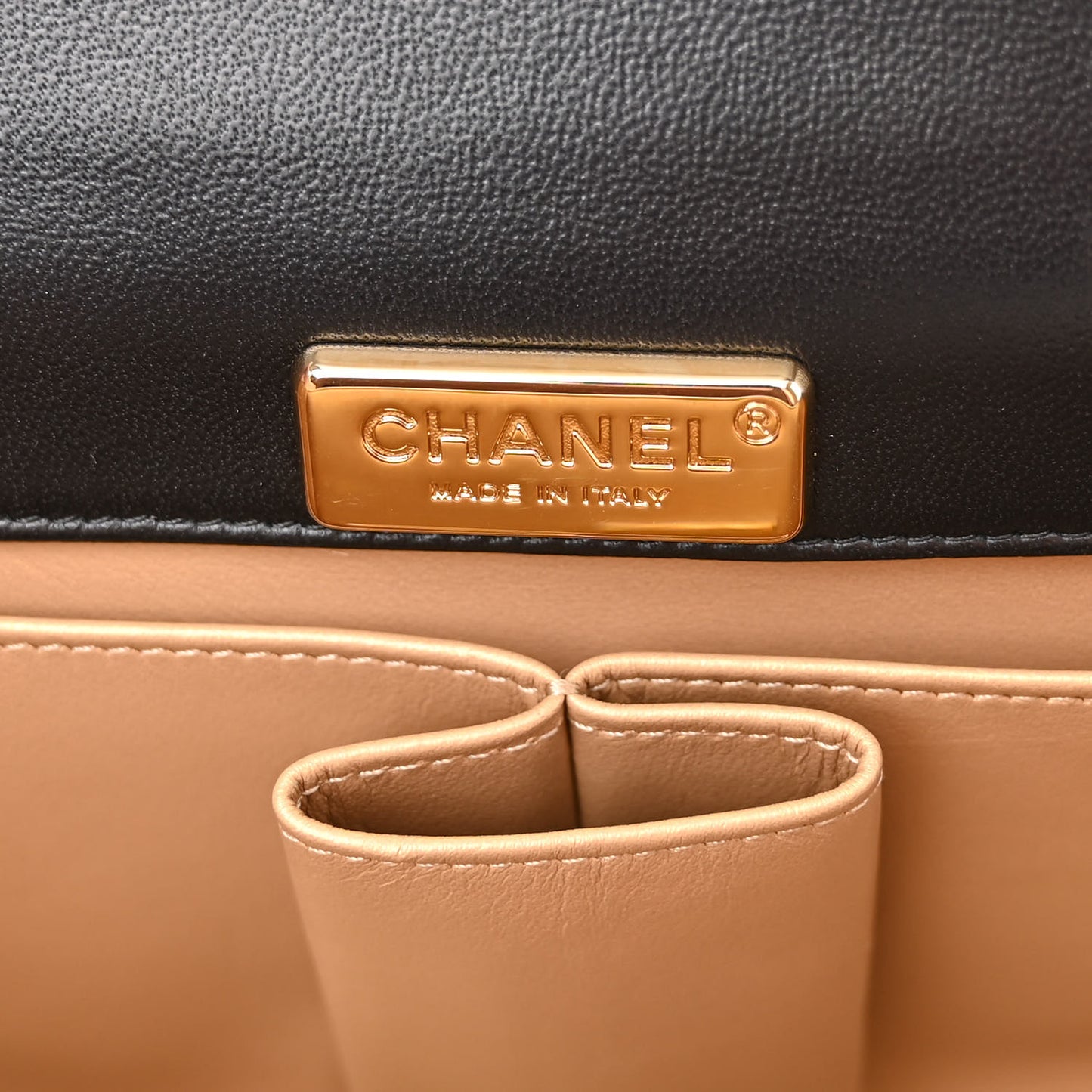 Lambskin Quilted Mini Golden Plate Flap Black