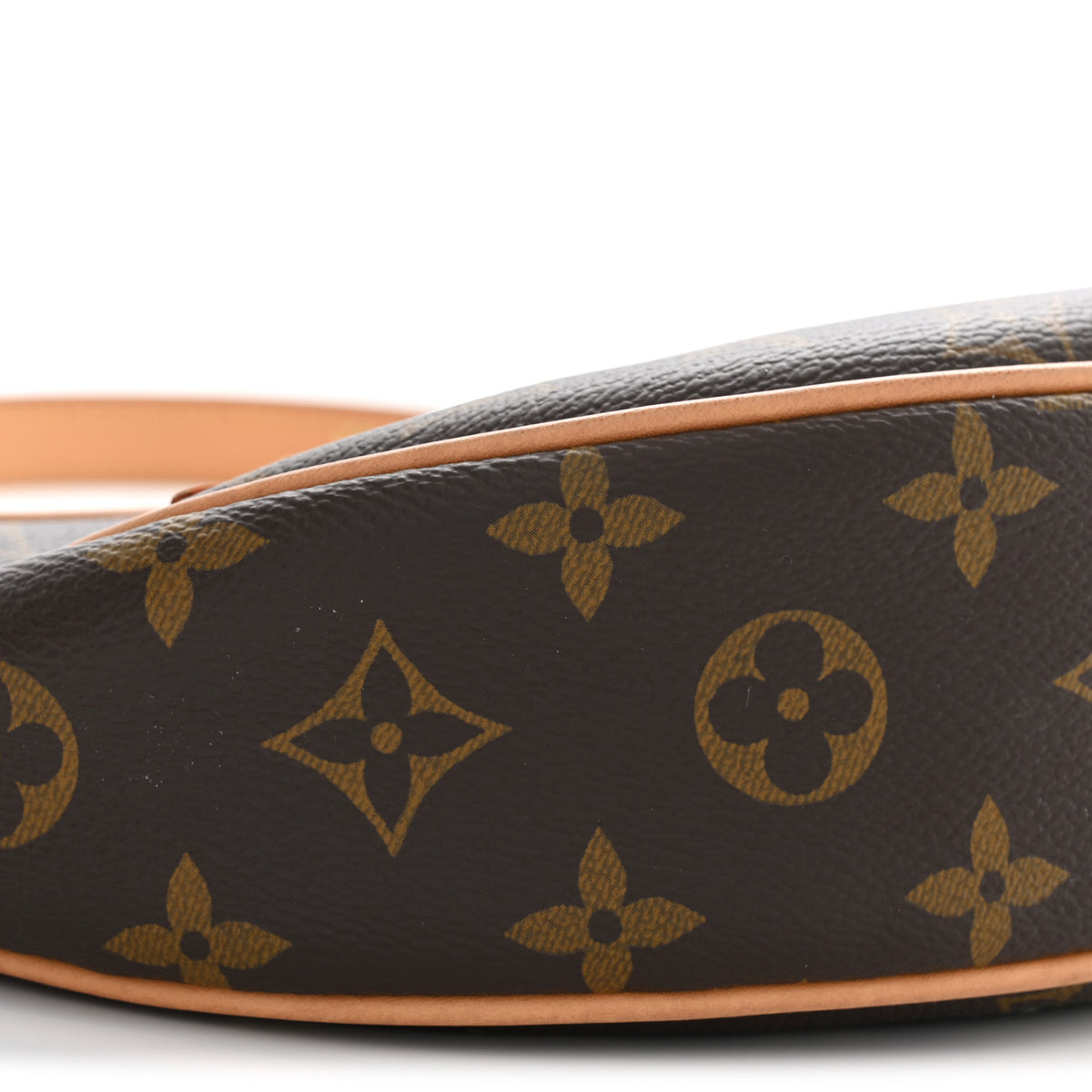Louis Vuitton Monogram Loop 8 of 12