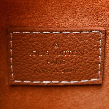 Louis Vuitton Grained Calfskin Low Key Hobo MM Cognac 6 of 13