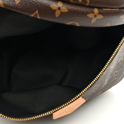 Louis Vuitton Monogram Bumbag 5 of 9