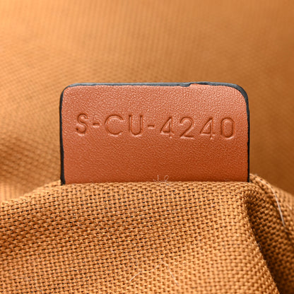 Celine Triomphe Canvas Triangle Crossbody Bag Tan 7 of 10
