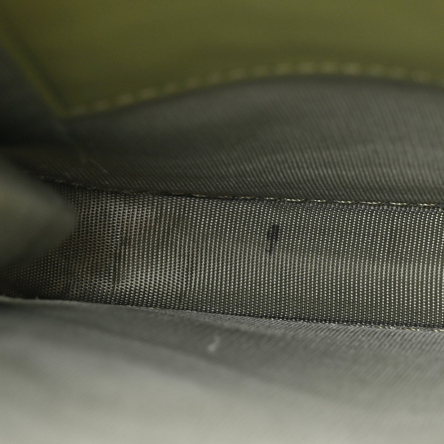 Lambskin Cannage Lady Dior Phone Holder Green