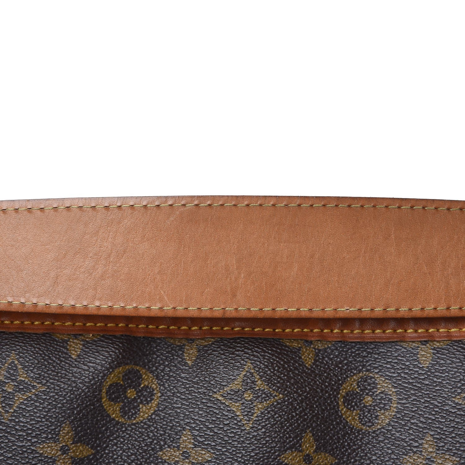 Louis Vuitton Monogram Delightful PM 12 of 13
