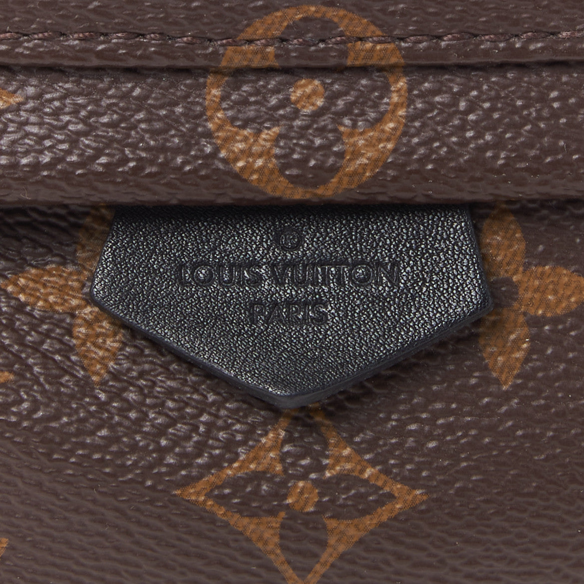 Monogram Palm Springs Backpack Mini