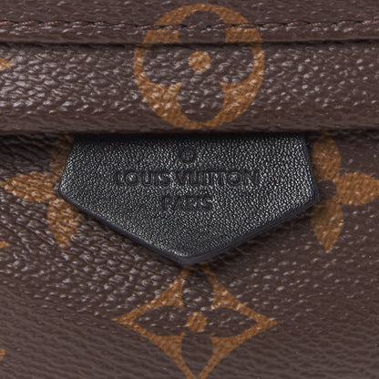 Louis Vuitton Monogram Palm Springs Backpack Mini 9 of 9