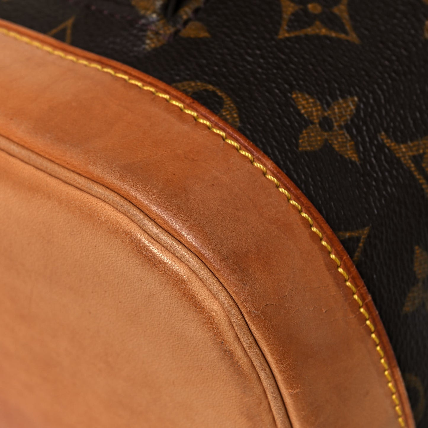 Monogram Montsouris GM Backpack