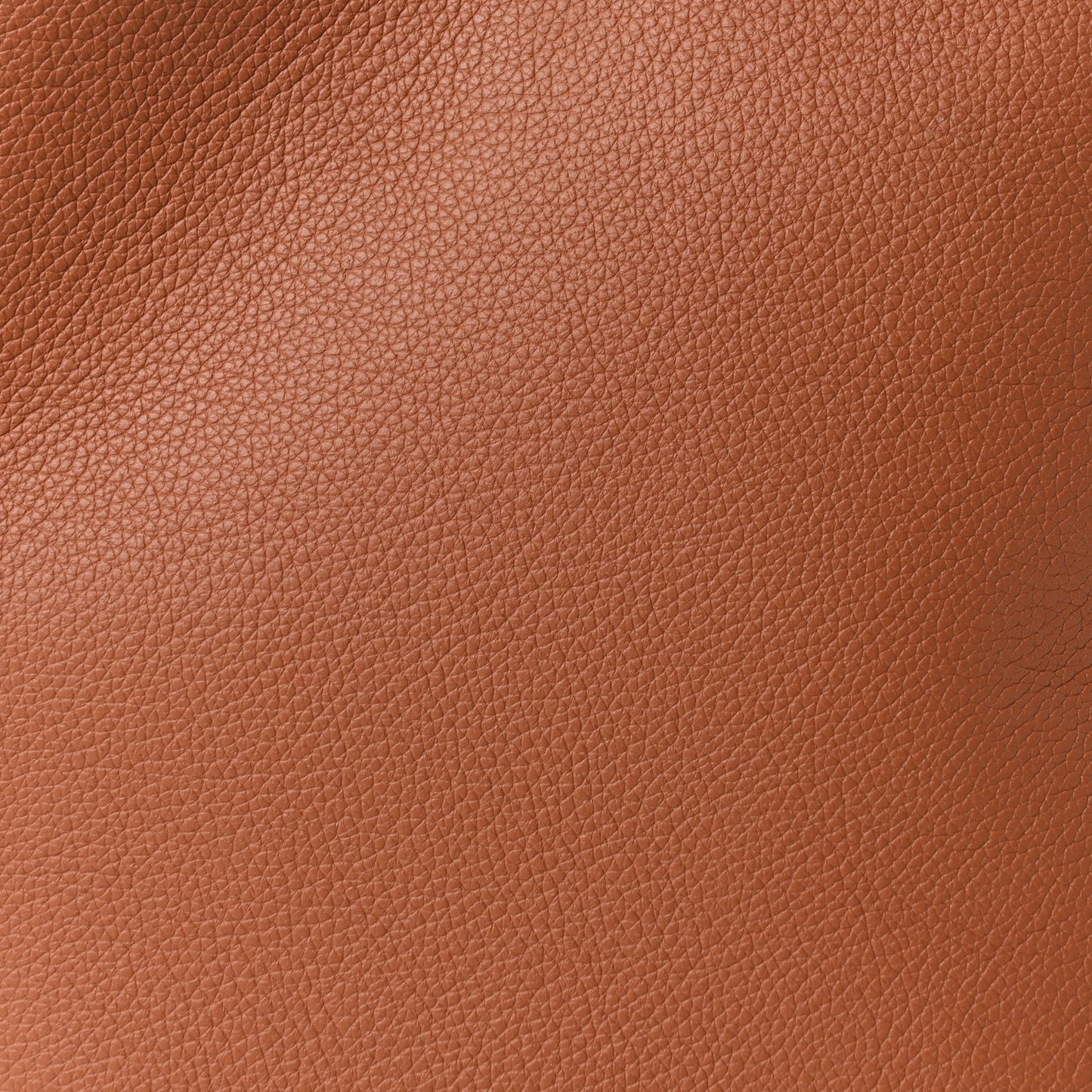 Grained Calfskin Low Key Hobo PM Cognac