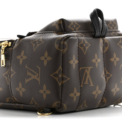 Louis Vuitton Monogram Palm Springs Backpack Mini 9 of 14