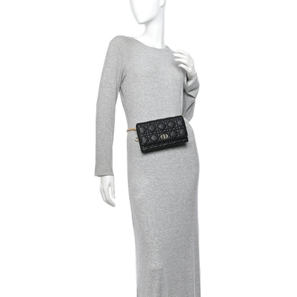 Christian Dior Supple Calfskin Caro Pouch with Chain Black 2 of 12