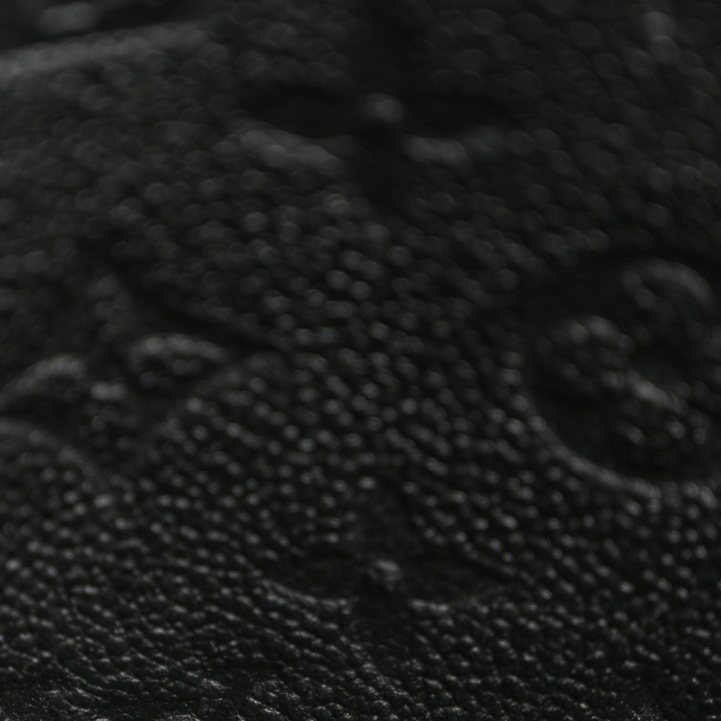 Empreinte Vavin BB Black