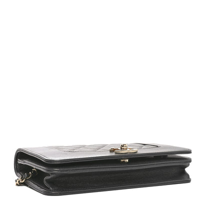 Chanel Sheepskin Quilted Mademoiselle Vintage Wallet On Chain WOC Ruthenium 4 of 12