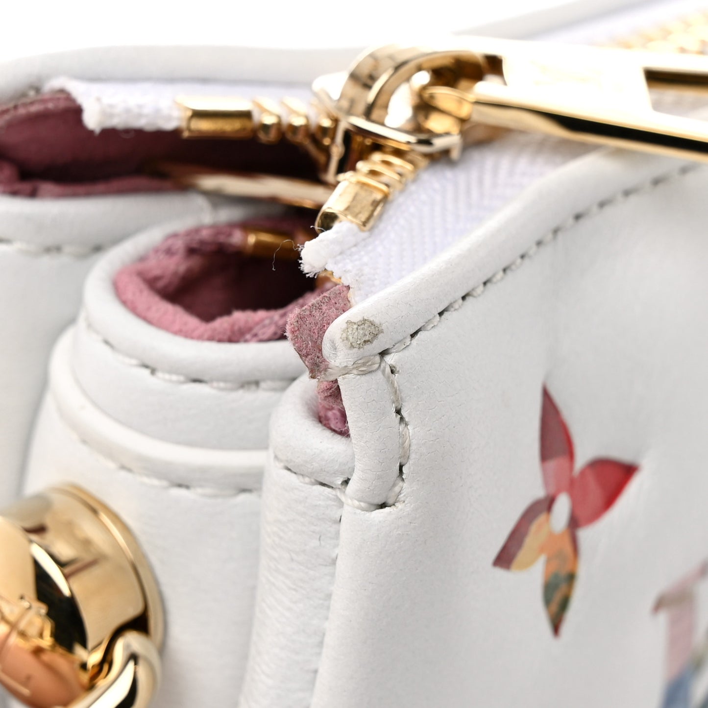 Lambskin Embossed Monogram LV Garden Coussin PM Cream