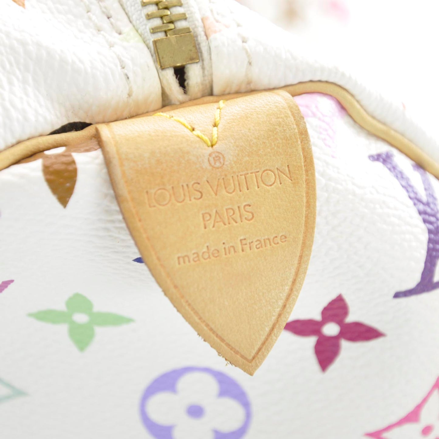 Monogram Multicolor Speedy 30 White