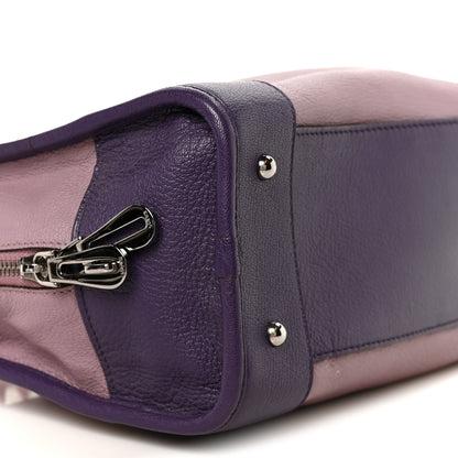 Loewe Goatskin Amazona 28 Purple 8 of 9