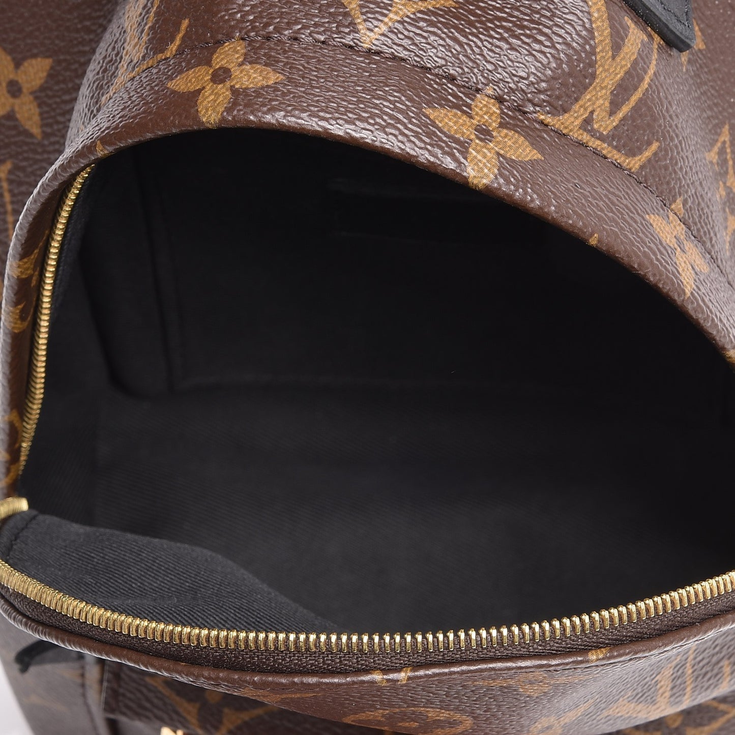 Monogram Palm Springs Backpack Mini