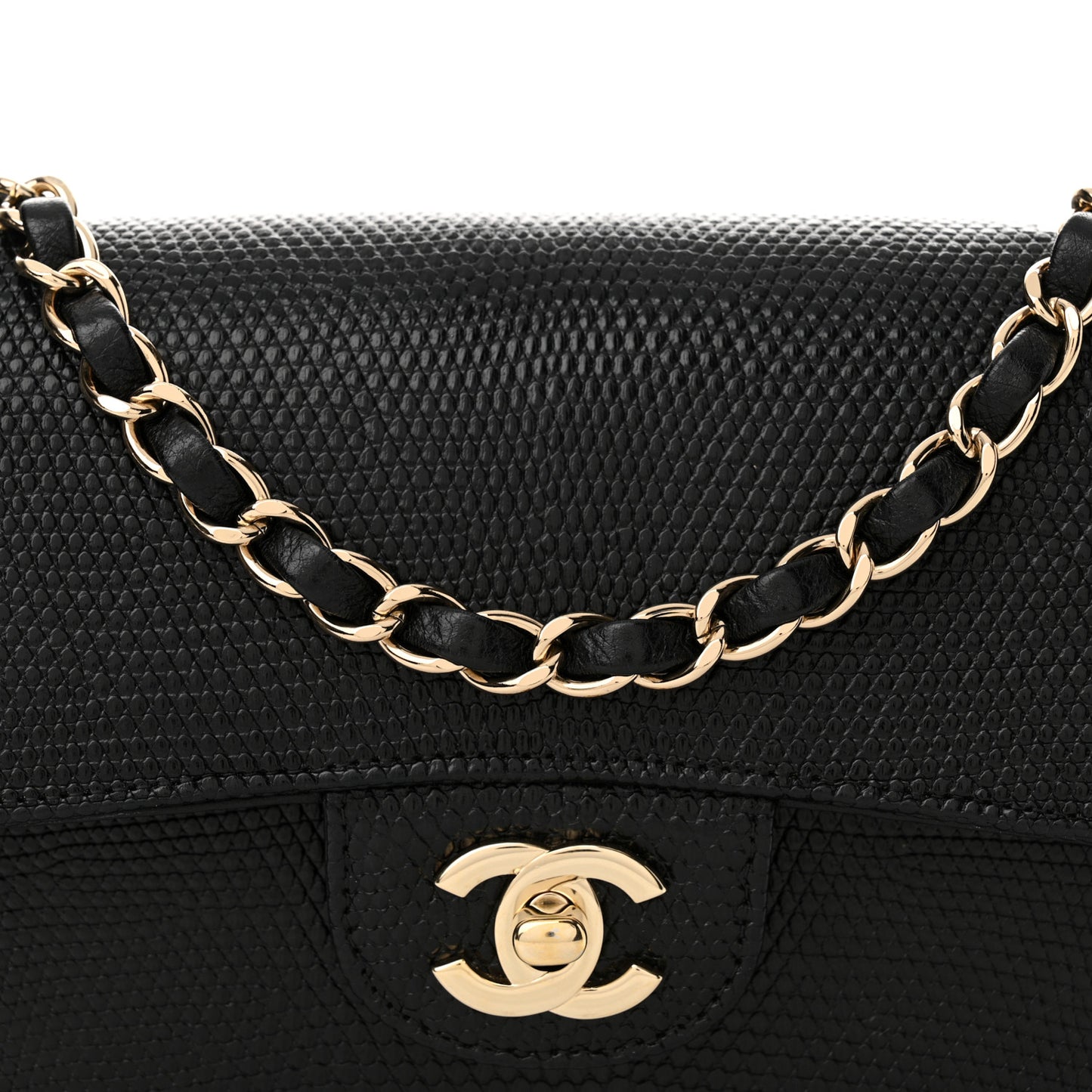 Lizard Mini Rectangular Flap Black