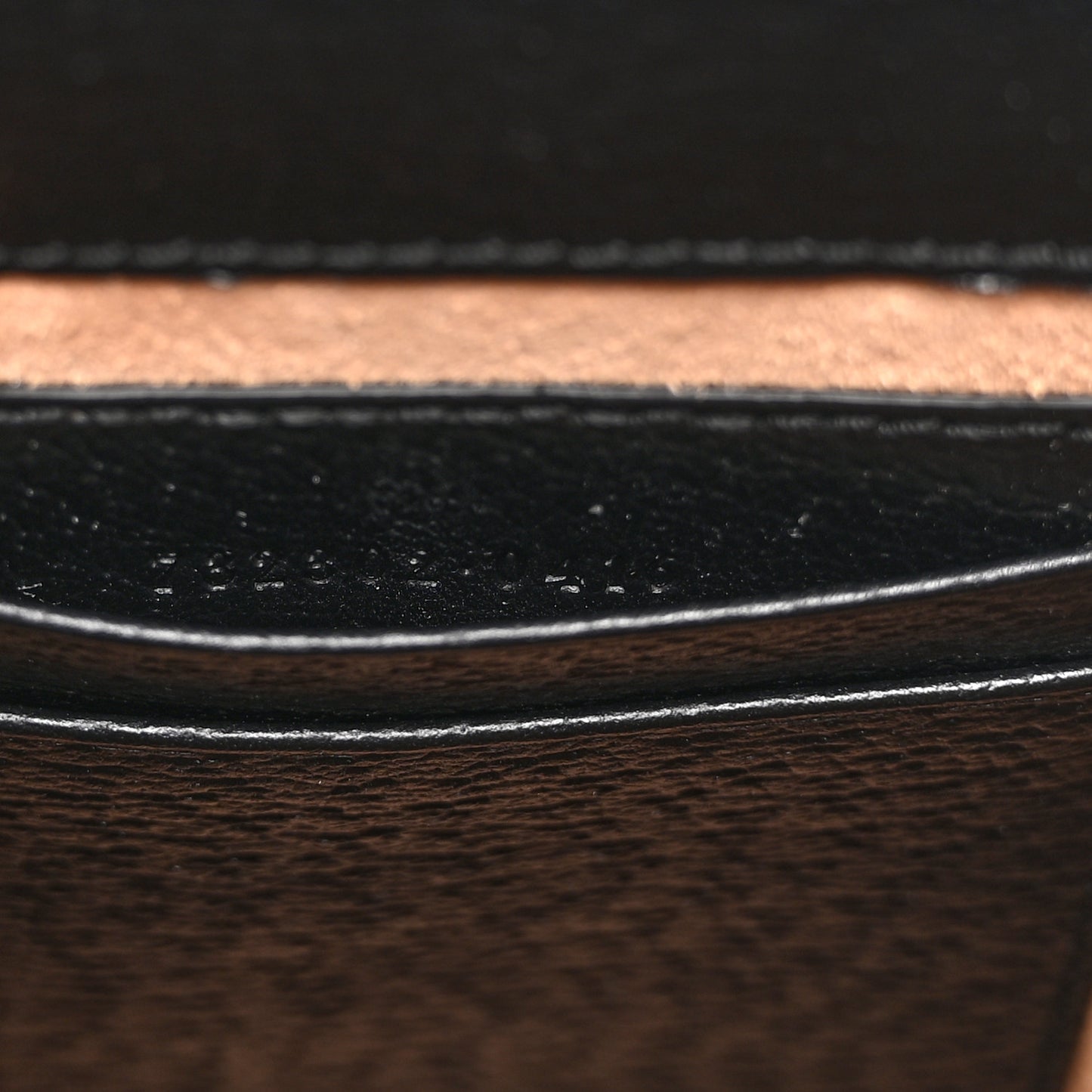 Dollar Calfskin Vertical Horsebit 1955 Crossbody Bag Black