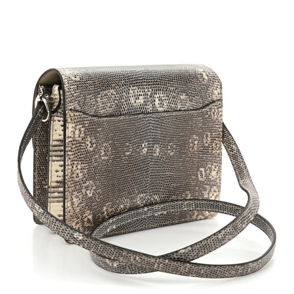 Hermes Lizard Mini Sac Roulis Ombre 3 of 16