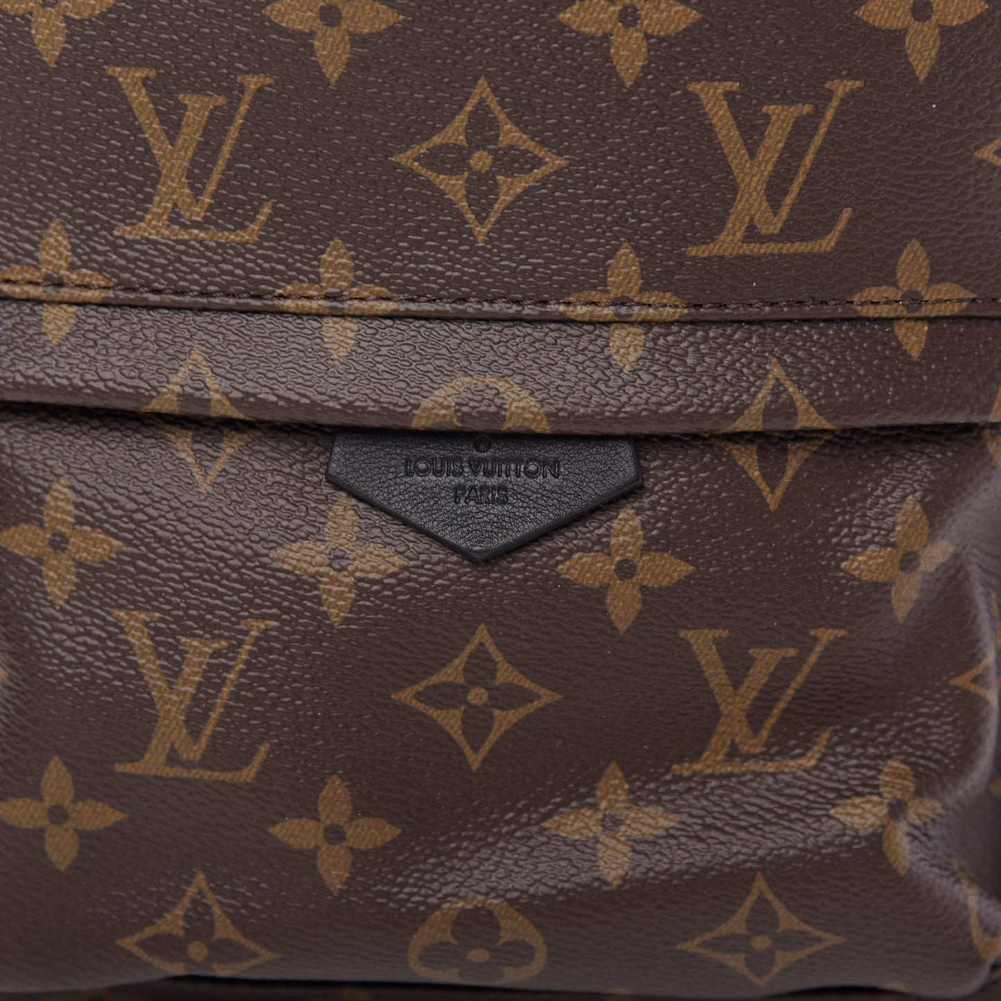 Monogram Palm Springs Backpack PM